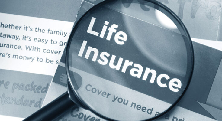 Life Insurance in the UK: Everything You Need to Know