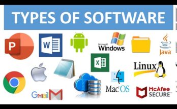 Software 101: Everything You Need to Know